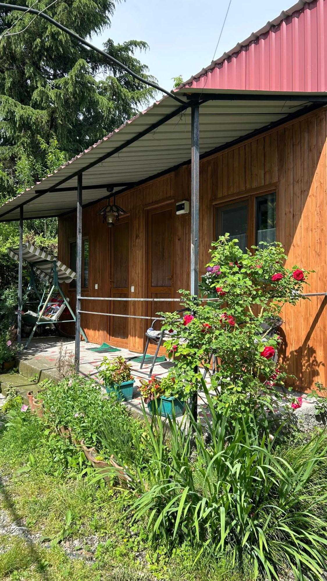 Ludwig Guesthouse Lagodekhi Eksteriør bilde