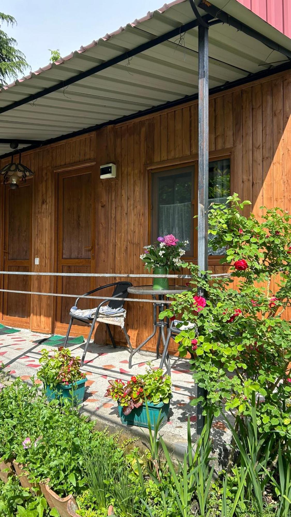 Ludwig Guesthouse Lagodekhi Eksteriør bilde