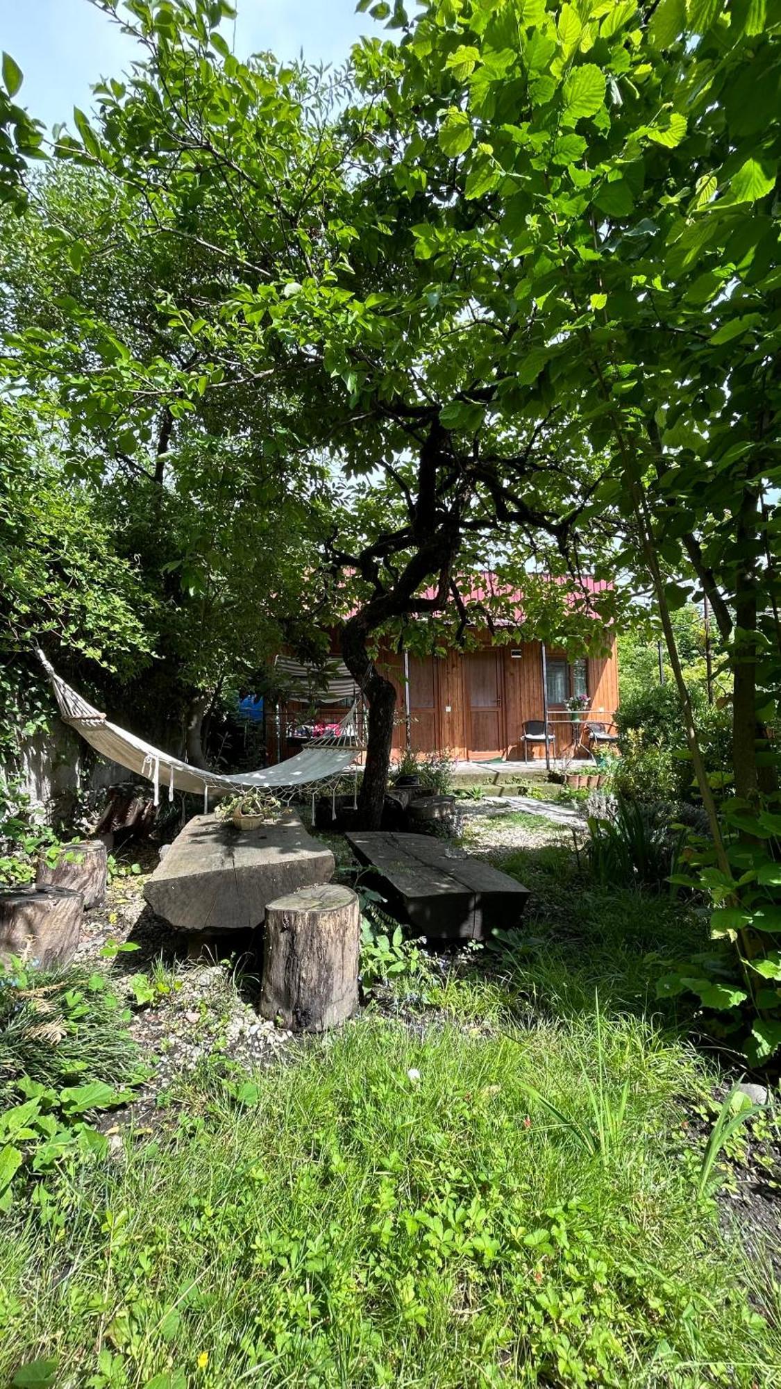 Ludwig Guesthouse Lagodekhi Eksteriør bilde