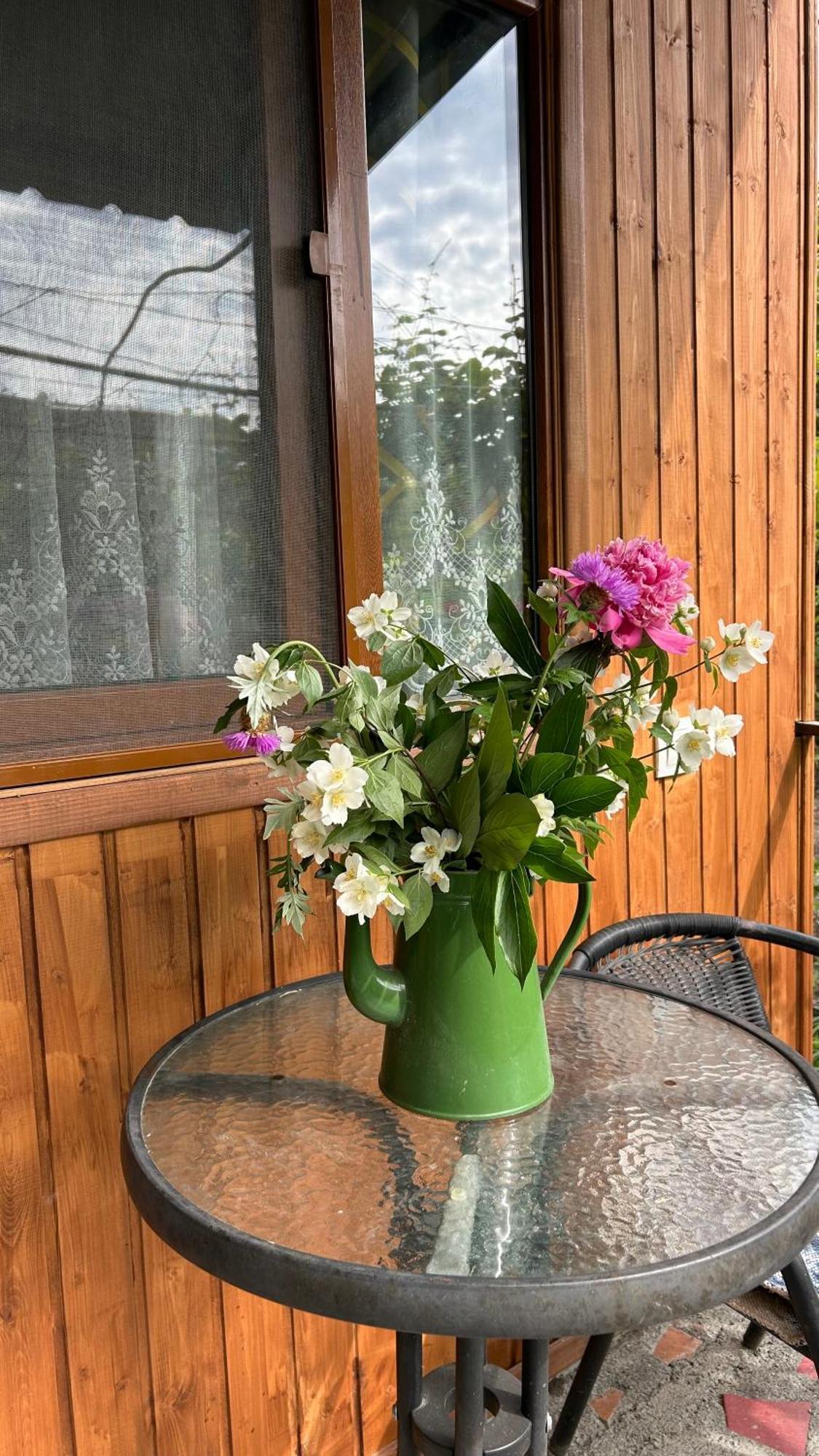 Ludwig Guesthouse Lagodekhi Eksteriør bilde
