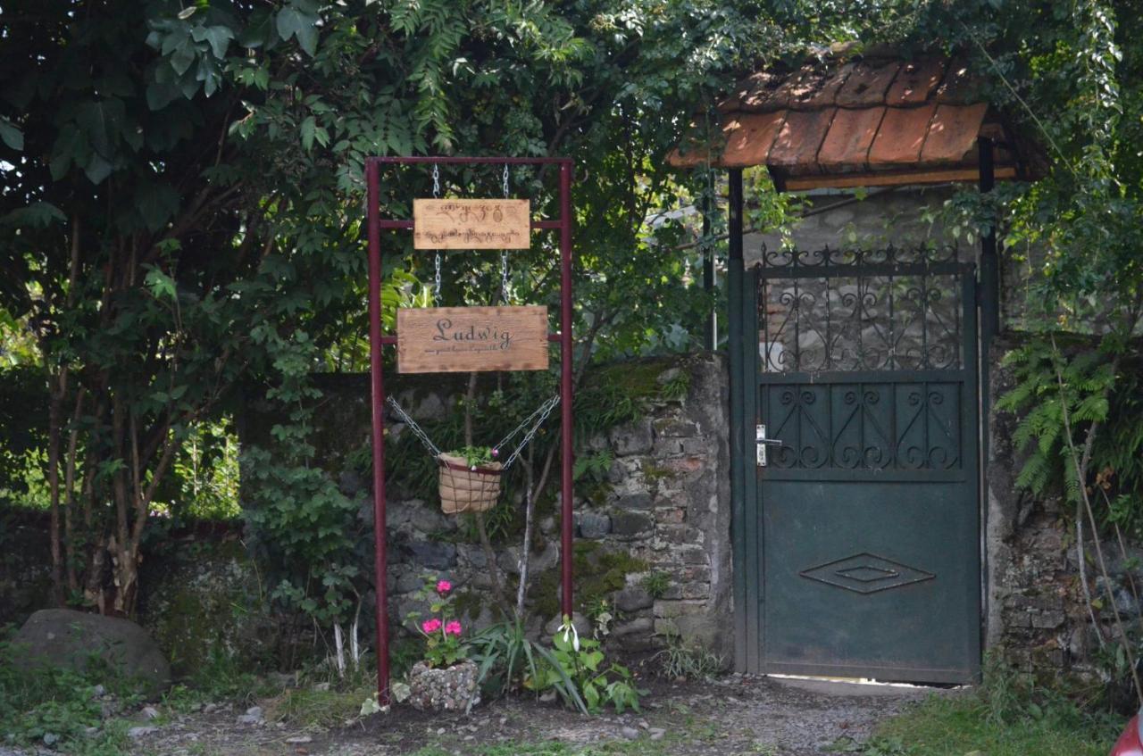 Ludwig Guesthouse Lagodekhi Eksteriør bilde